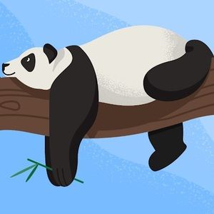 Meet your Posher, Abeer